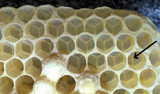 WP_20160601_13_32_09_Raw