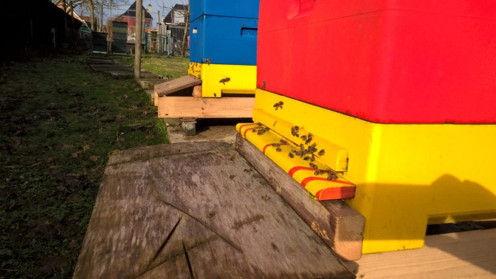 wp_20170202_11_43_00_pro